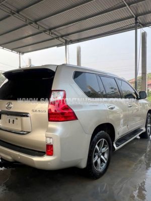Xe Lexus GX 460 2010